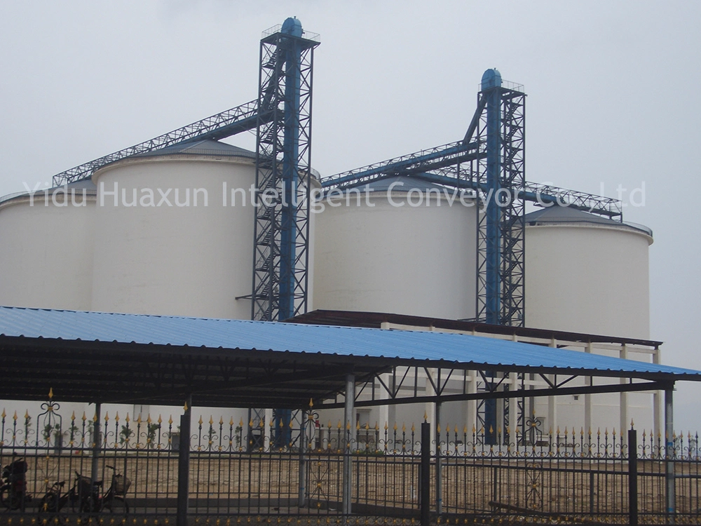 The High Capacity Grain Bucket Elevator with Best Price in China