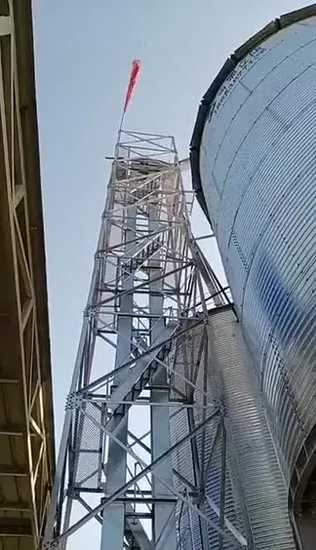 뜨거운 판매 중국 공장 가격 수직 및 평면 바닥 밀 옥수수 패디 쌀 씨앗 피드 사일로 사용 컨베이어 벨트 곡물 버킷 엘리베이터